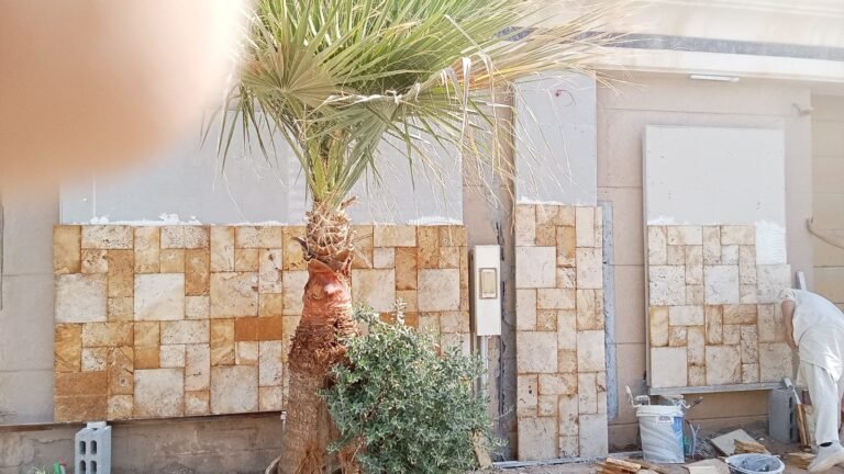تركيب أسمنت بورد وجهات مدينة الرياض